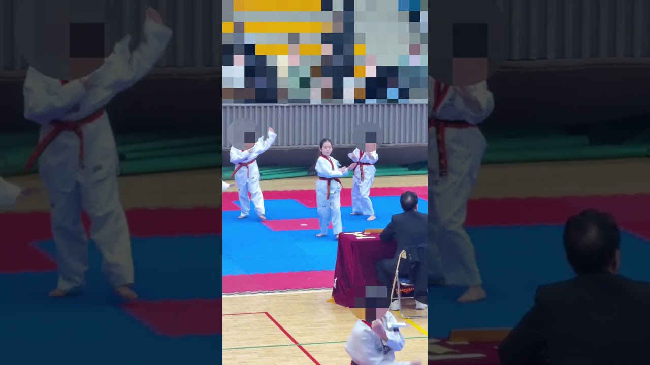 태권소녀의 도전