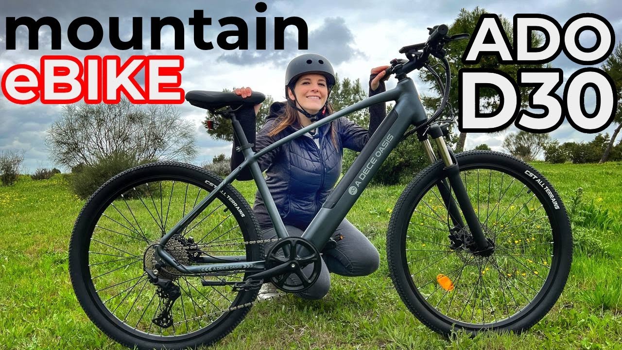 MOUNTAIN eBIKE TOTAL -ADO (A DECE OASIS) DECE 300 (D30)-
