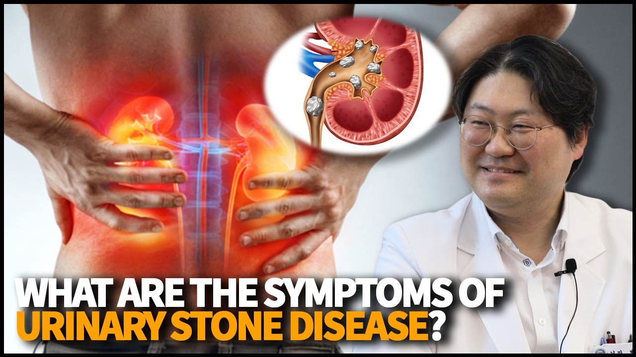 What are the symptoms of Urinary Stone Disease? How can we diagnose it?