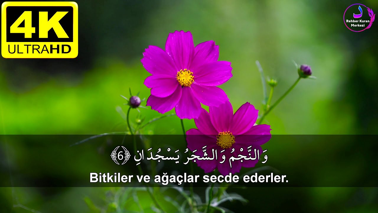 Rahman Suresi丨İdris Abkar ⁴ᴷ丨İyiliğin karşılığı iyilikten başka bir şey midir?丨Muhteşem Kıraat ²¹
