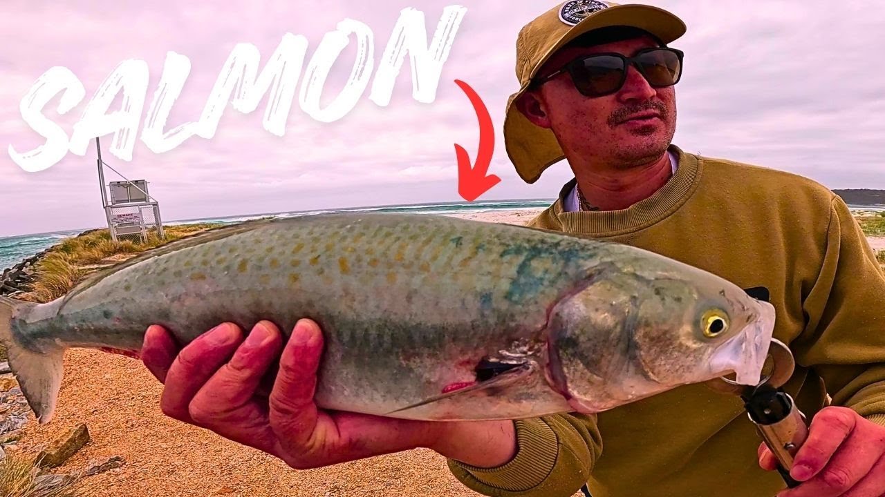 Lure Fishing for WILD Aussie Salmon!
