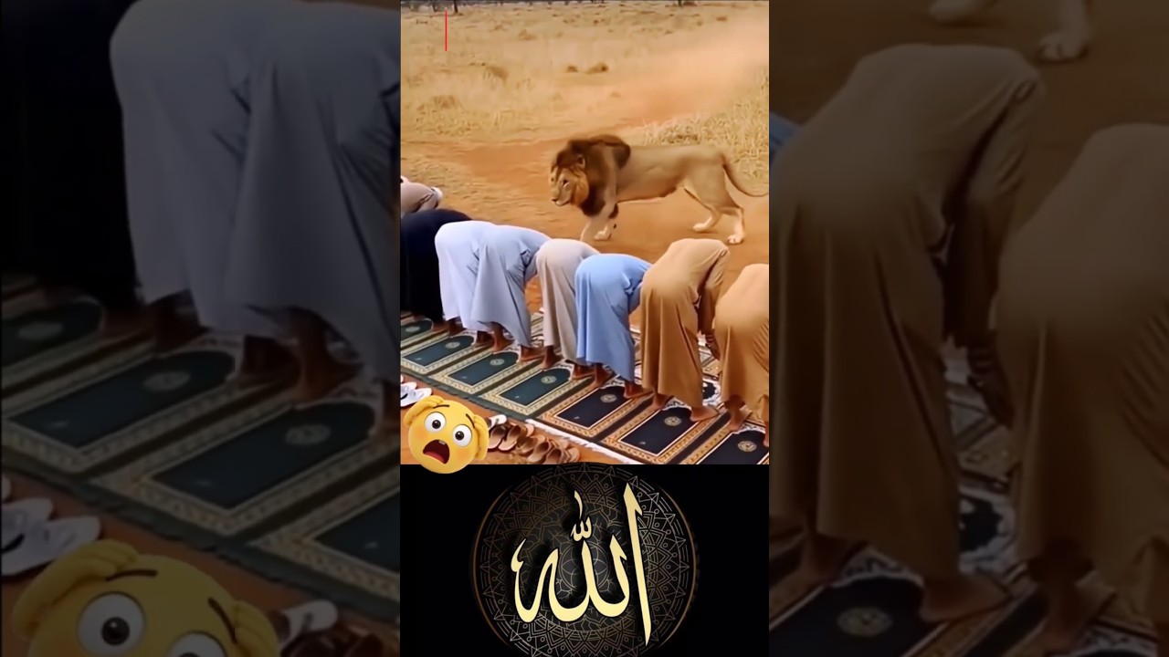 MashAllah 💪🕋🌛Respect #allah #muhammad #mecca #madina #moosatv #masjid #Masmediainfo