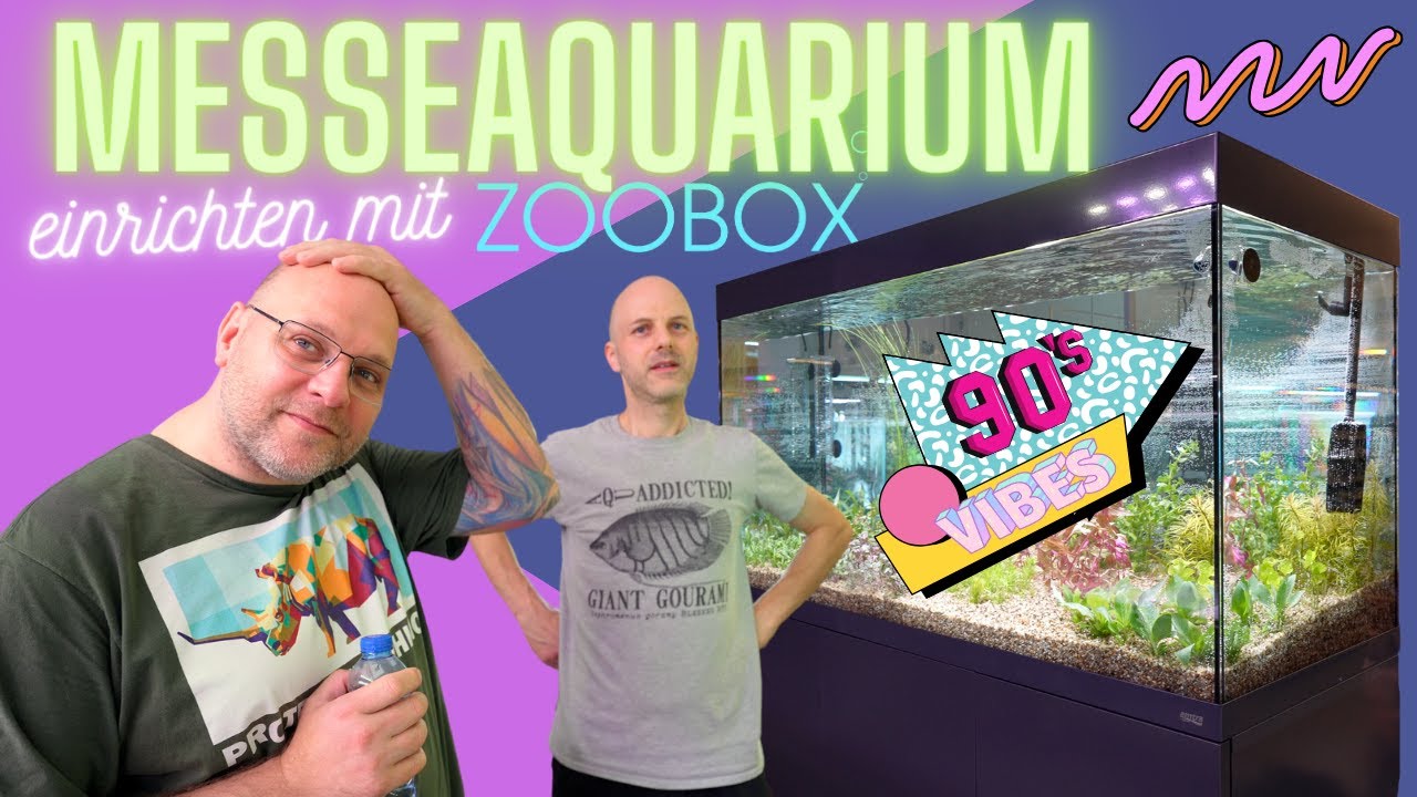 Ein 90iger Jahre Holland-Aquarium für @ZOOBOX und die AquaExpo 23