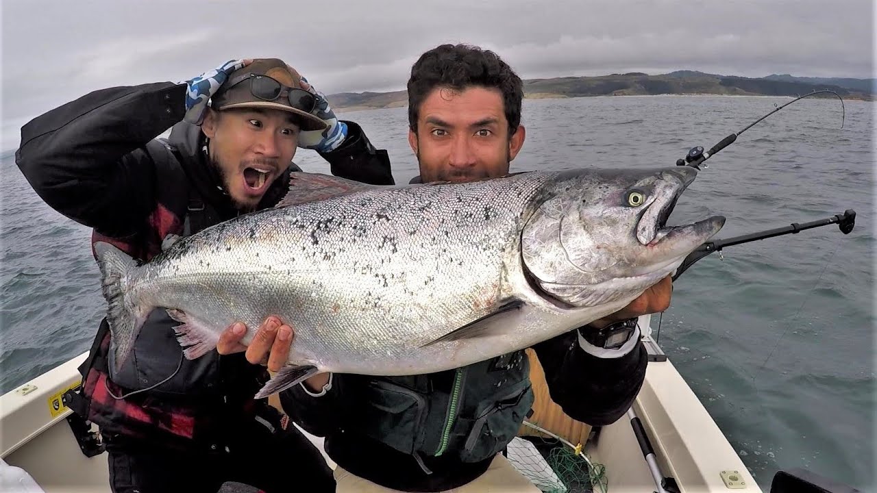 I Still Cannot Believe We Caught This Fish!! Salmon Redemption!!!