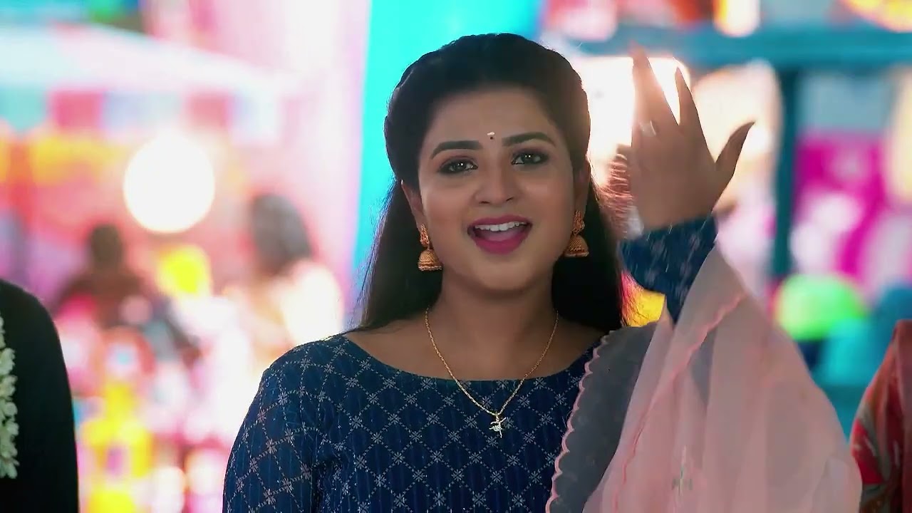Karthigai Deepam | Ep - 663 | Webisode | Nov 14 2024 | Zee Tamil