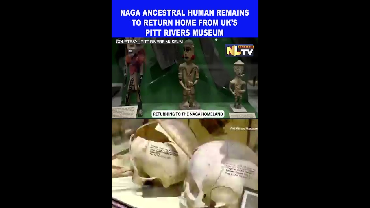 39 NAGA ANCESTRAL HUMAN REMAINS TO RETURN HOME FROM UK&rsquo;S PITT RIVERS MUSEUM