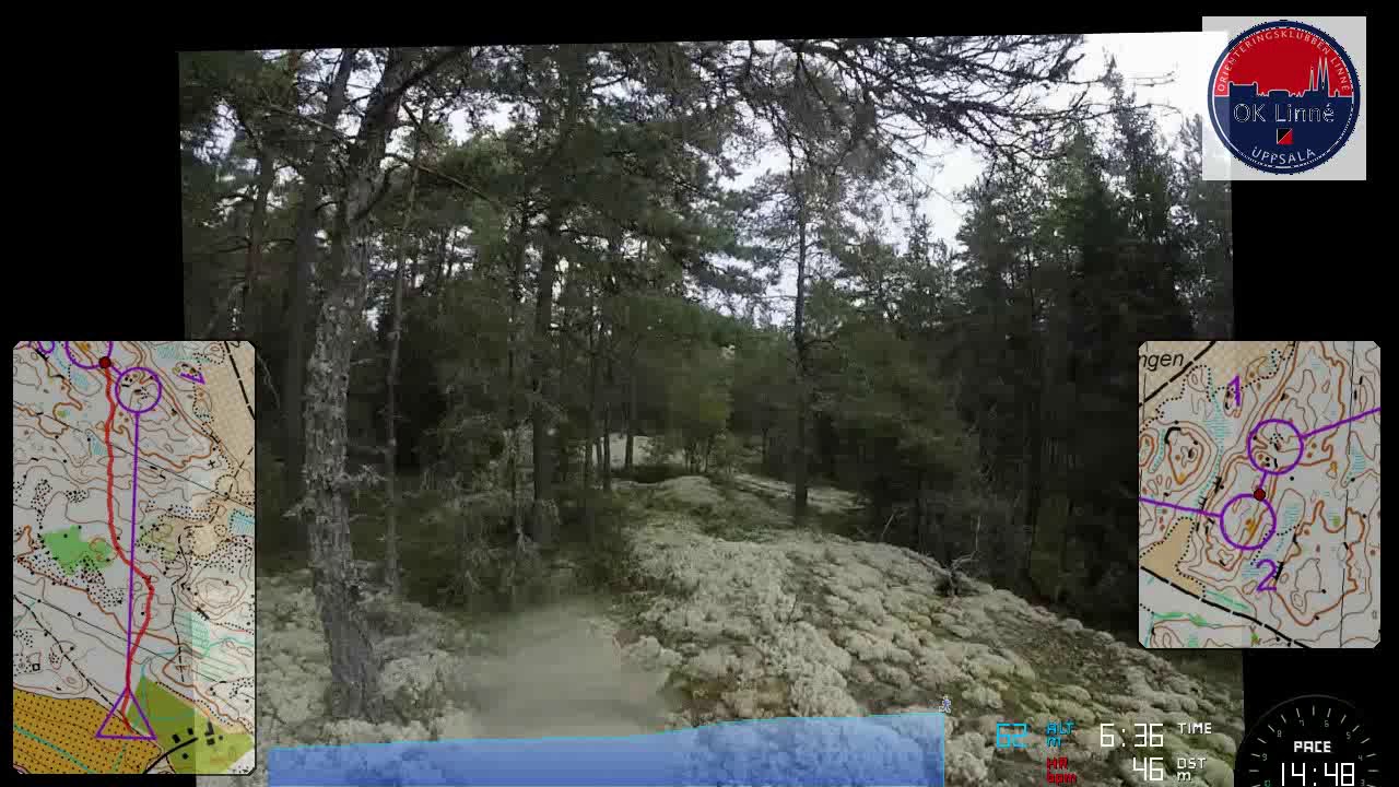 DM-stafett Uppland 2019, &Ouml;M7, Tommy Stenvi