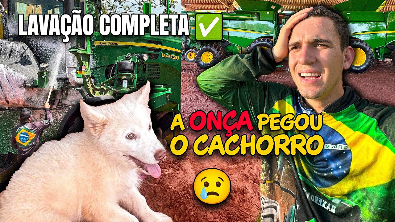 Lavemos o caminhão verdão, as duas colheitadeira, a grade!! Vídeo completo ✅👍