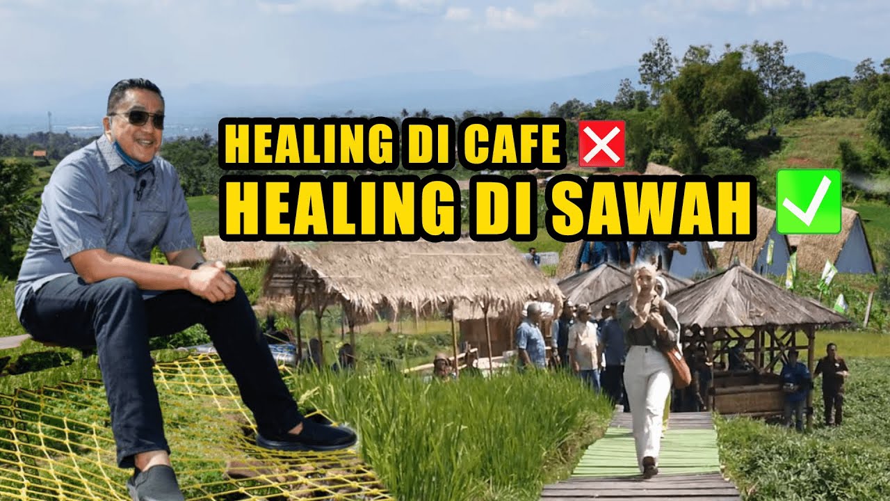 HEALING DI CAFE ❌ HEALING DI SAWAH  ✔️