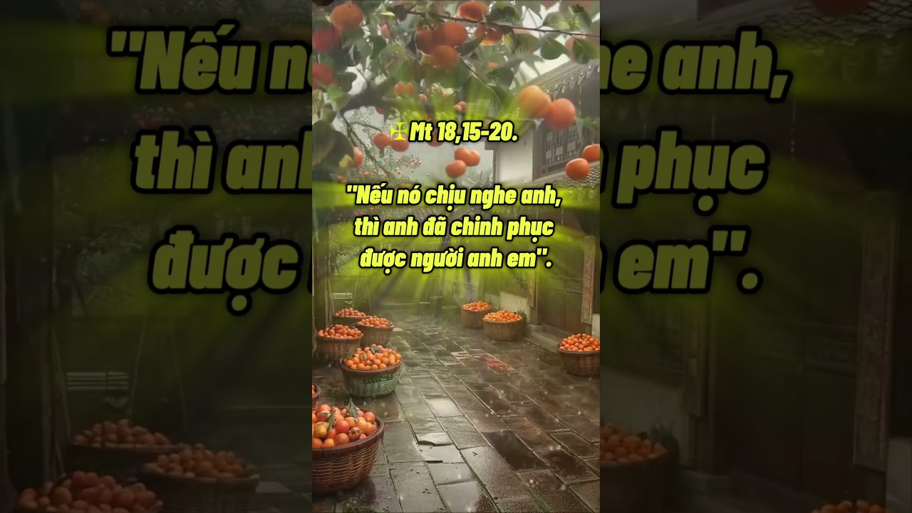 #conggiaomedia#giesu #tinmung #suyniem #suyniemloichua #suyniem #xuhuong24h  SỬA LỖI CHO NHAU