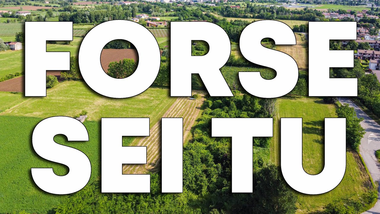 Cerco un COLLABORATORE AGRICOLO