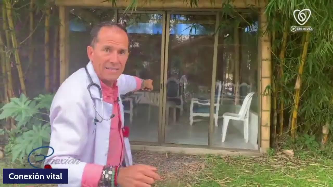 Encima digestivas y probióticos