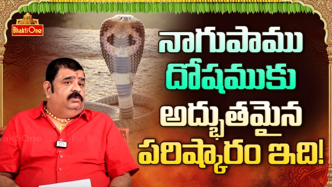 What is Naga Dosham ? | Naga Dosham Remedies in Telugu | Venu Swamy | Dharma Sandehalu | BhaktiOne