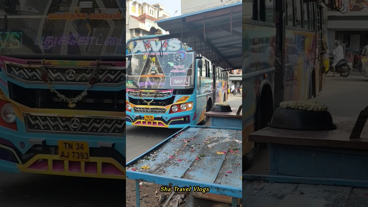 A.V.S Bus & Government Bus ✨ #shatravelvlogs #viral #travel #trending #shorts #ytshorts #bus #yt