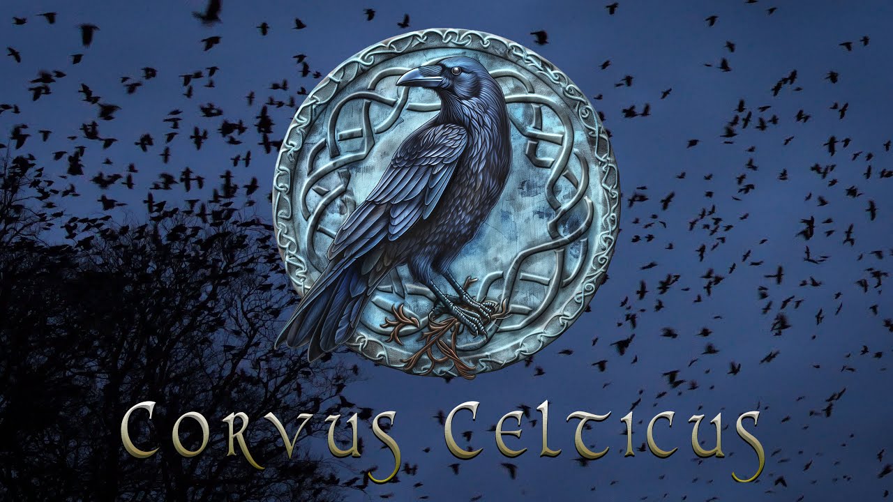 Corvus Celticus