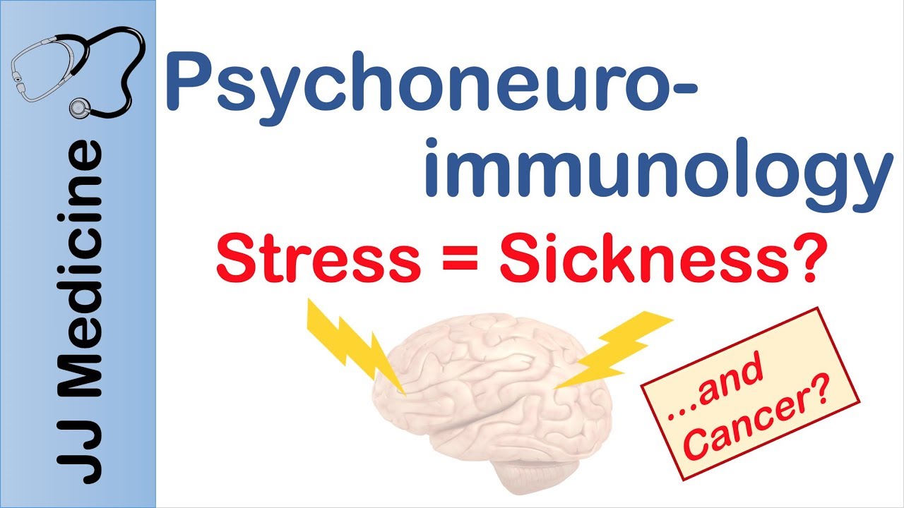 Psychoneuroimmunology | How Stress and Depression Make You Sick