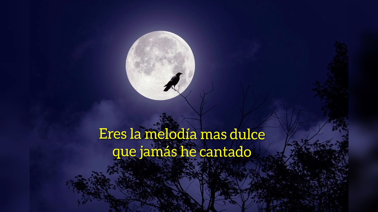 Patrick watson - melody noir (sub)