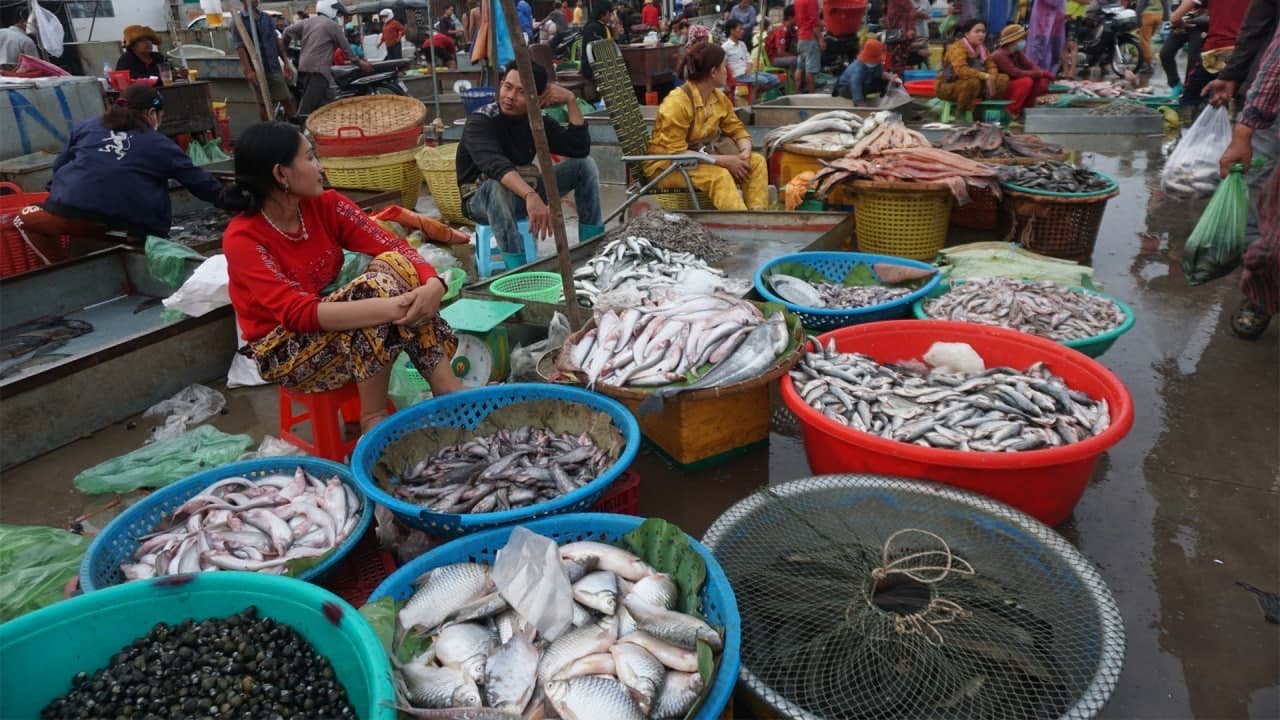 The Big Site Distribute SeaFood & Fish - Morning Daily LifeStyle of Vendors Selling Fish, SeaFood...