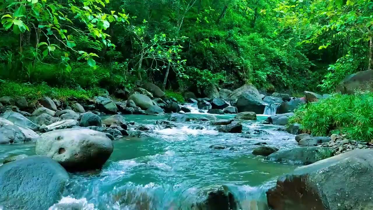 Beautiful Flowing Stream - Soothing Nature ASMR for Sleep, Focus and Relaxation, ASMR