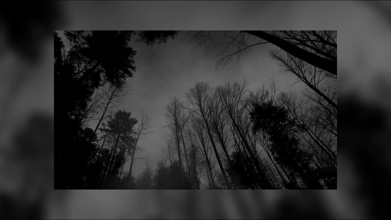 Dionnysuss - Fangs (slowed + reverb + enhanced)