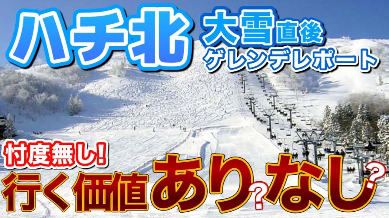 【最新速報】今のハチ北はアリ？ナシ？同じ兵庫でも“別格”だった理由を現地で全部確認【雪・混雑・滑走感】