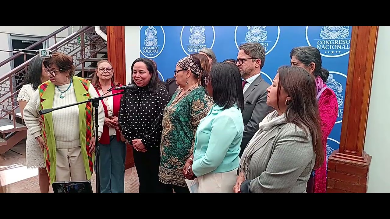 Mujeres organizadas promueve leyes de protección de género en el Congreso Nacional de Honduras