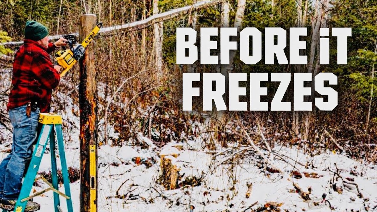 Racing Winter Before a 6,000km Trip Across Canada