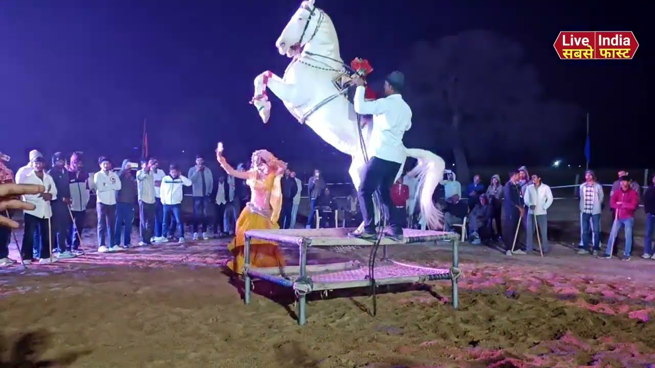 Ghoda Ghoda Horse Dance | Best Horse Videos 2026 🐎🔥