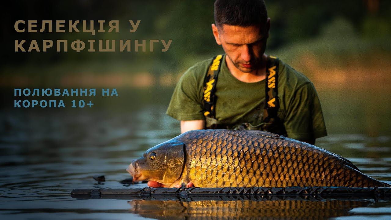 СЕЛЕКЦІЯ У КАРПФІШИНГУ. ПОЛЮВАННЯ НА КОРОПА 10+. озеро Слобода.