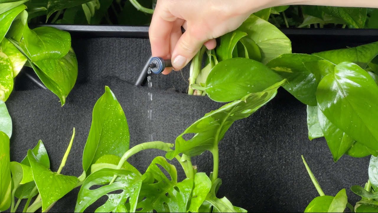 Mobile vertical garden M service