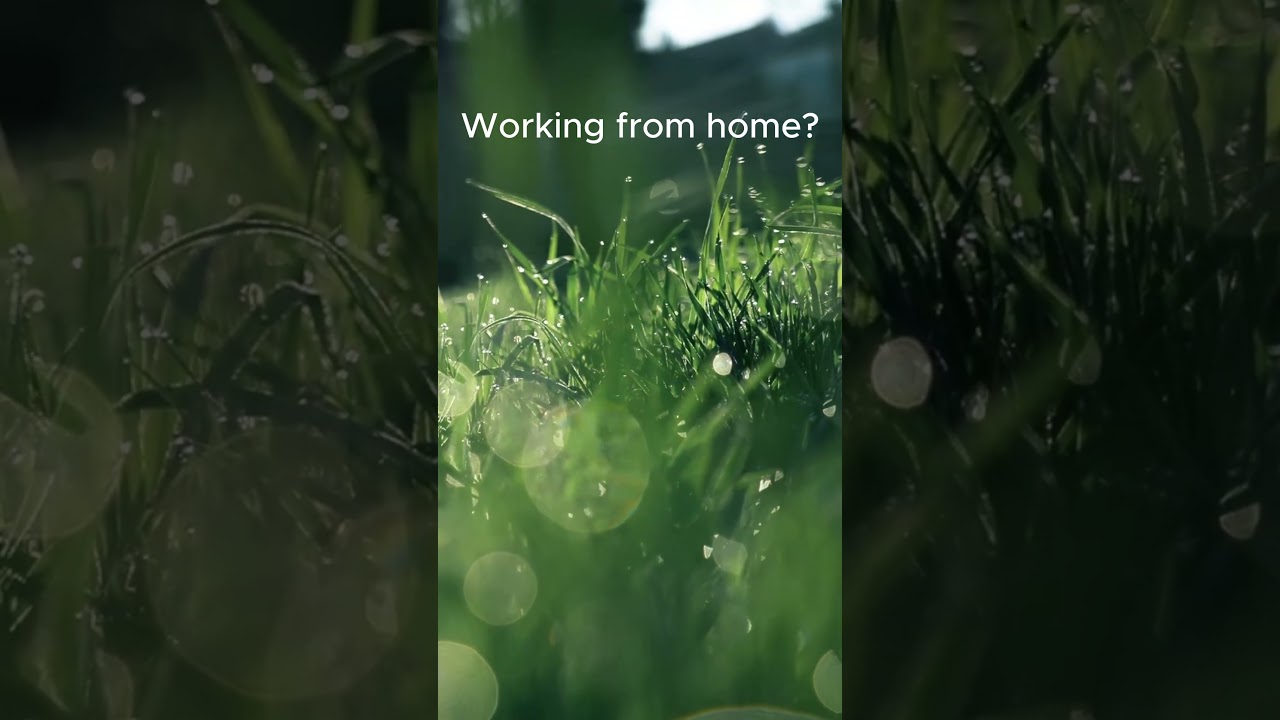 SPRING WITHIN |🌿 Calm Music for Focus & Deep Work