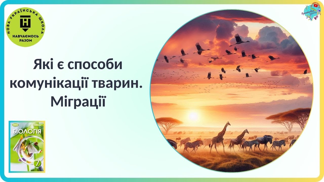 Які є способи комунікації тварин.  Міграції.