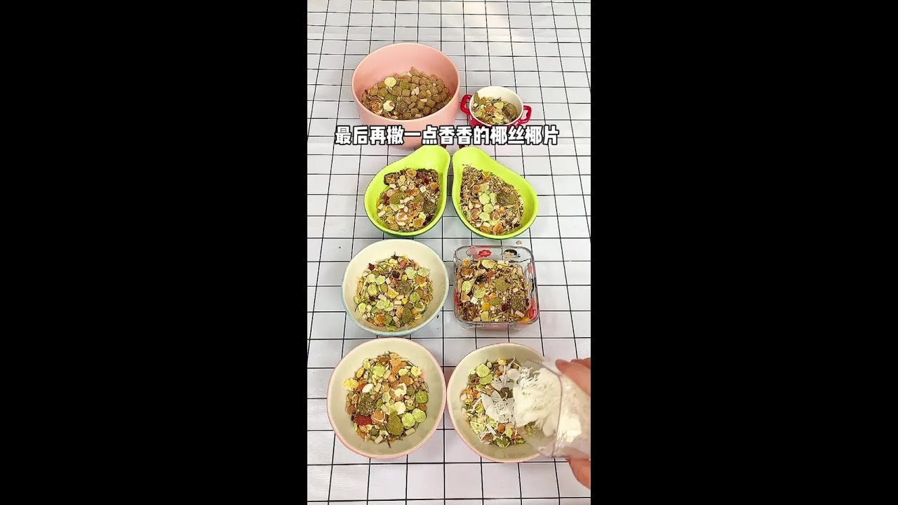 #仓鼠  #金丝熊 最后一次全家一起配粮~且看且珍惜奥！