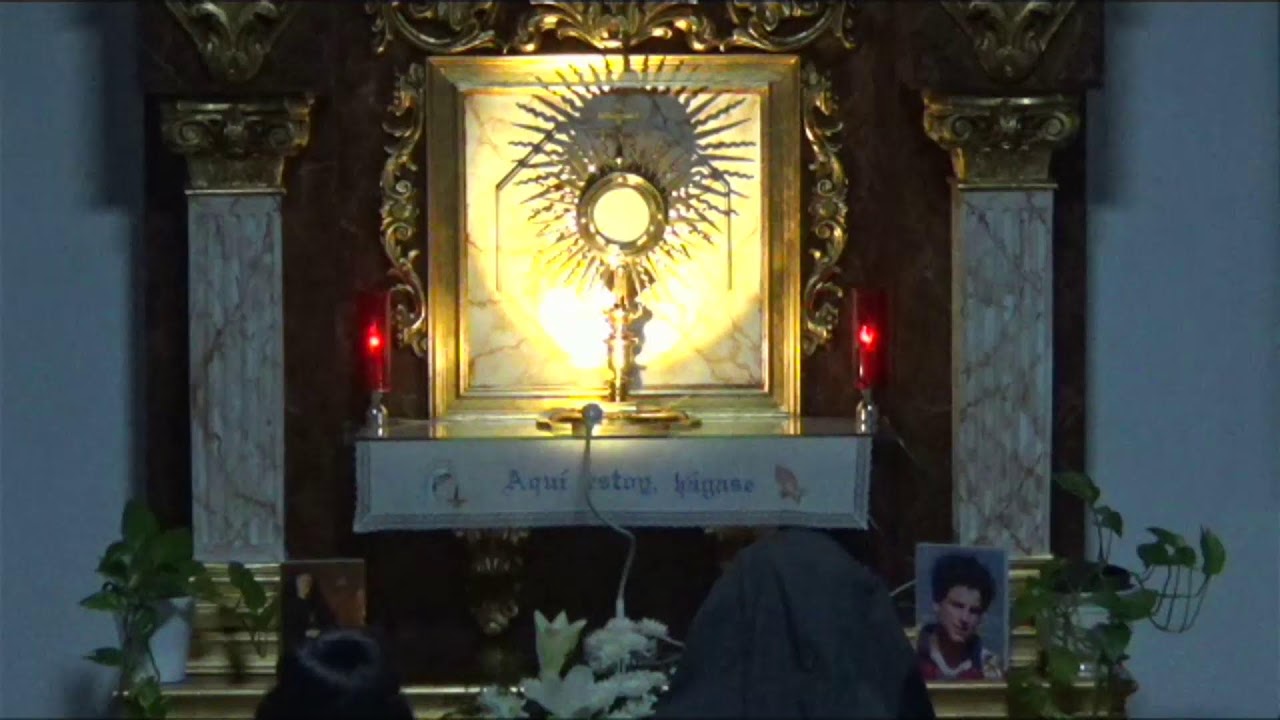 ADORACIÓN EUCARÍSTICA PERPETUA