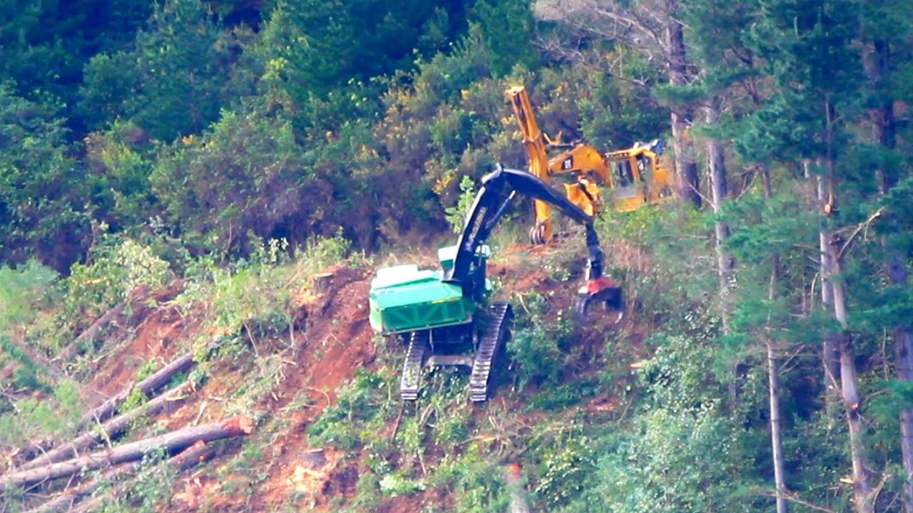 Extreme logging - heavy machines harvesting trees on a steep hillside