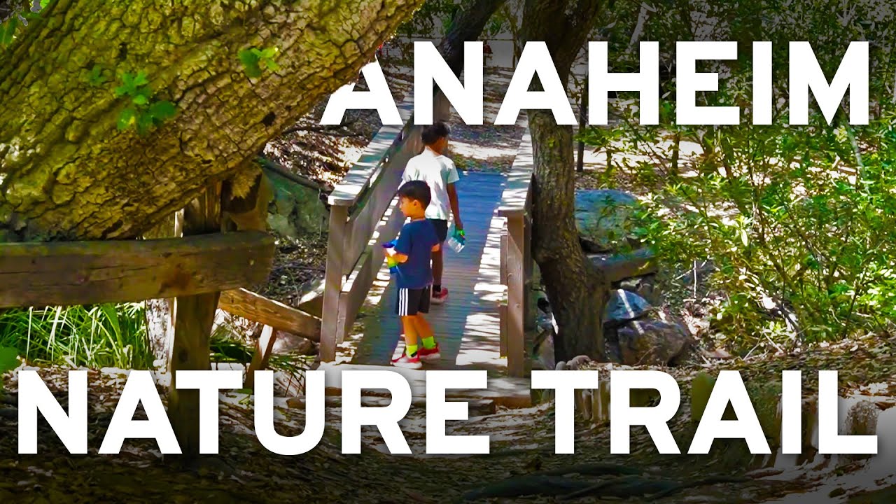 Nature Escape in Anaheim 🌿 Easy Hiking Trails with Kids at Oak Canyon