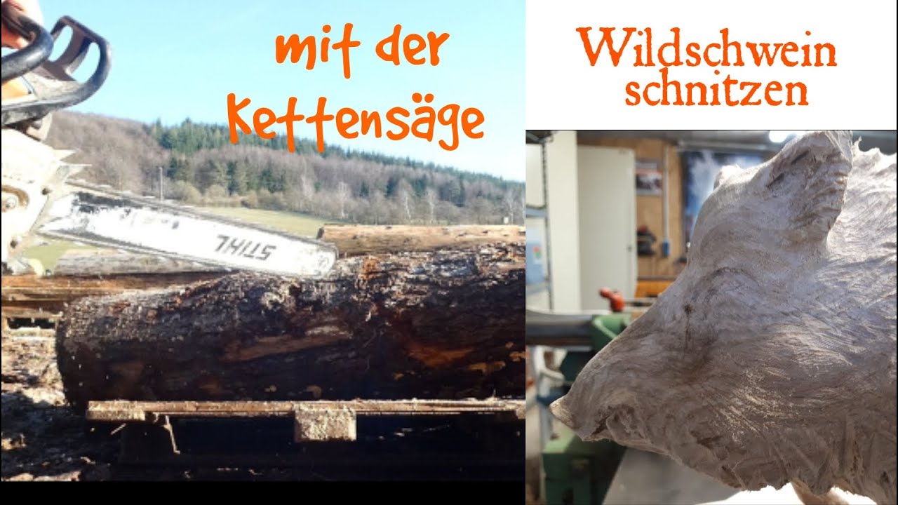 Wildschwein Kettensäge