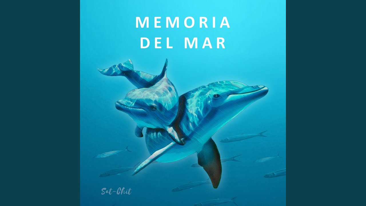 Delfines • 963 Hz