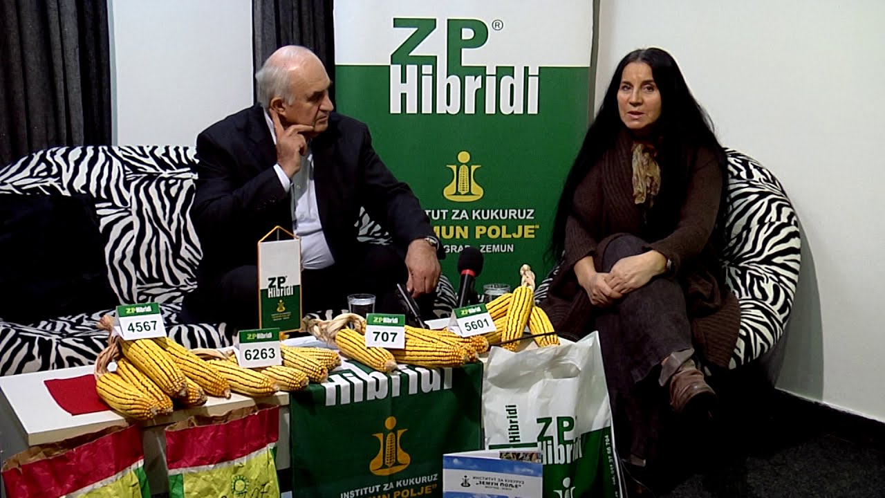 ZP hibridi gostovanje Dr Života Jovanović Nase selo 22 februar 2021