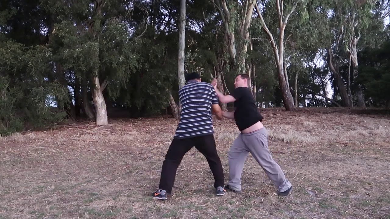 Taiji Mantis Kung Fu Application - Crushing the Top of Mount Tai