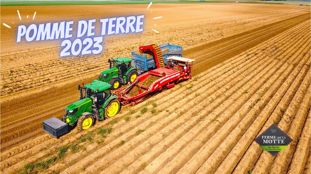 🥔Pomme de terre 2023 XXL Chantier 😍100% John Deere🟢🟡(Ferme de la motte)