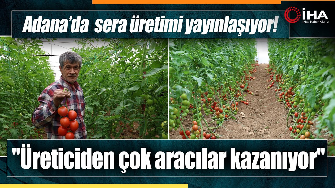 Adana'da Mahallede 400 Metrekareyle Başlayan Seracılık 30 Dönüme Ulaştı