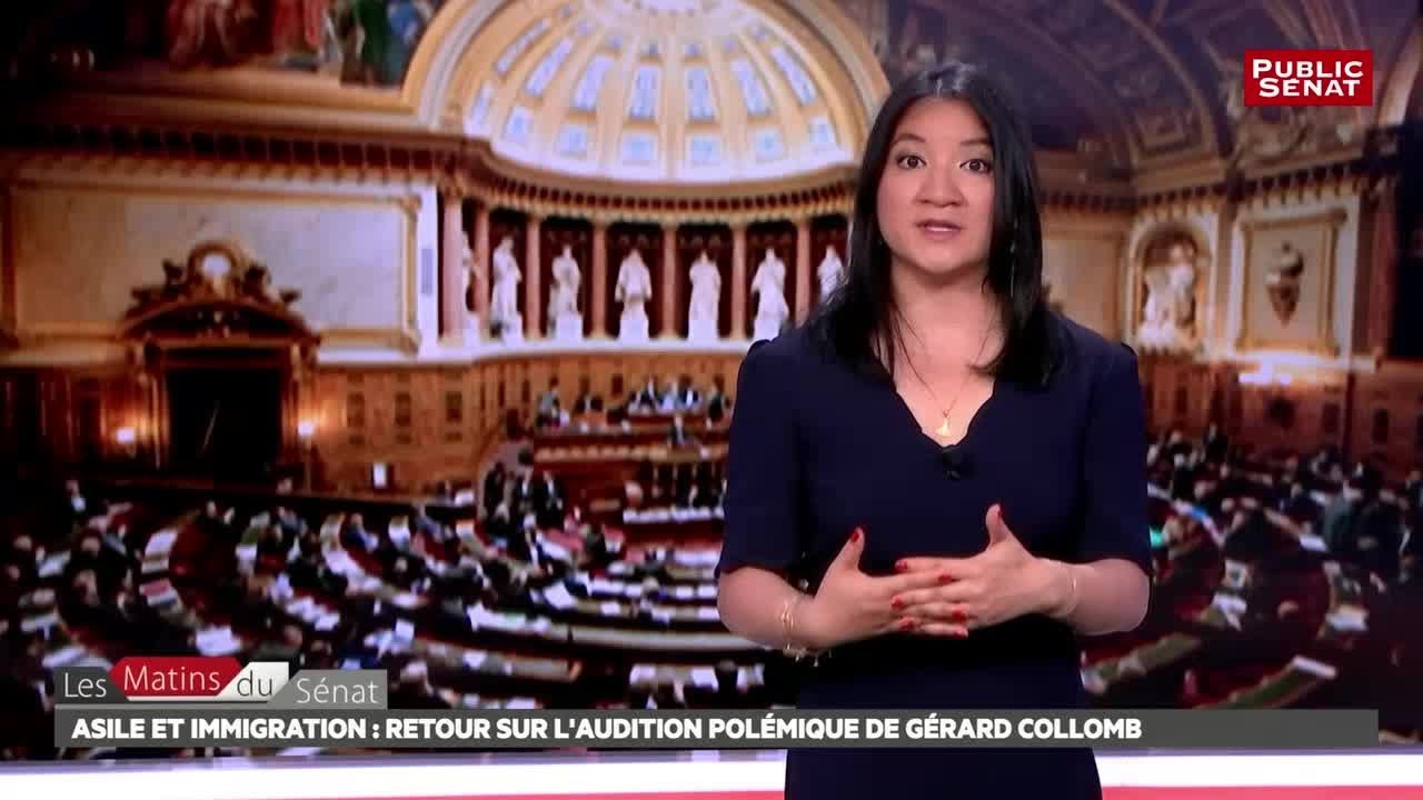 Asile et immigration : l'audition de G&eacute;rard Collomb puis d&eacute;bat... - Les matins du S&eacute;nat (03/08/2018)