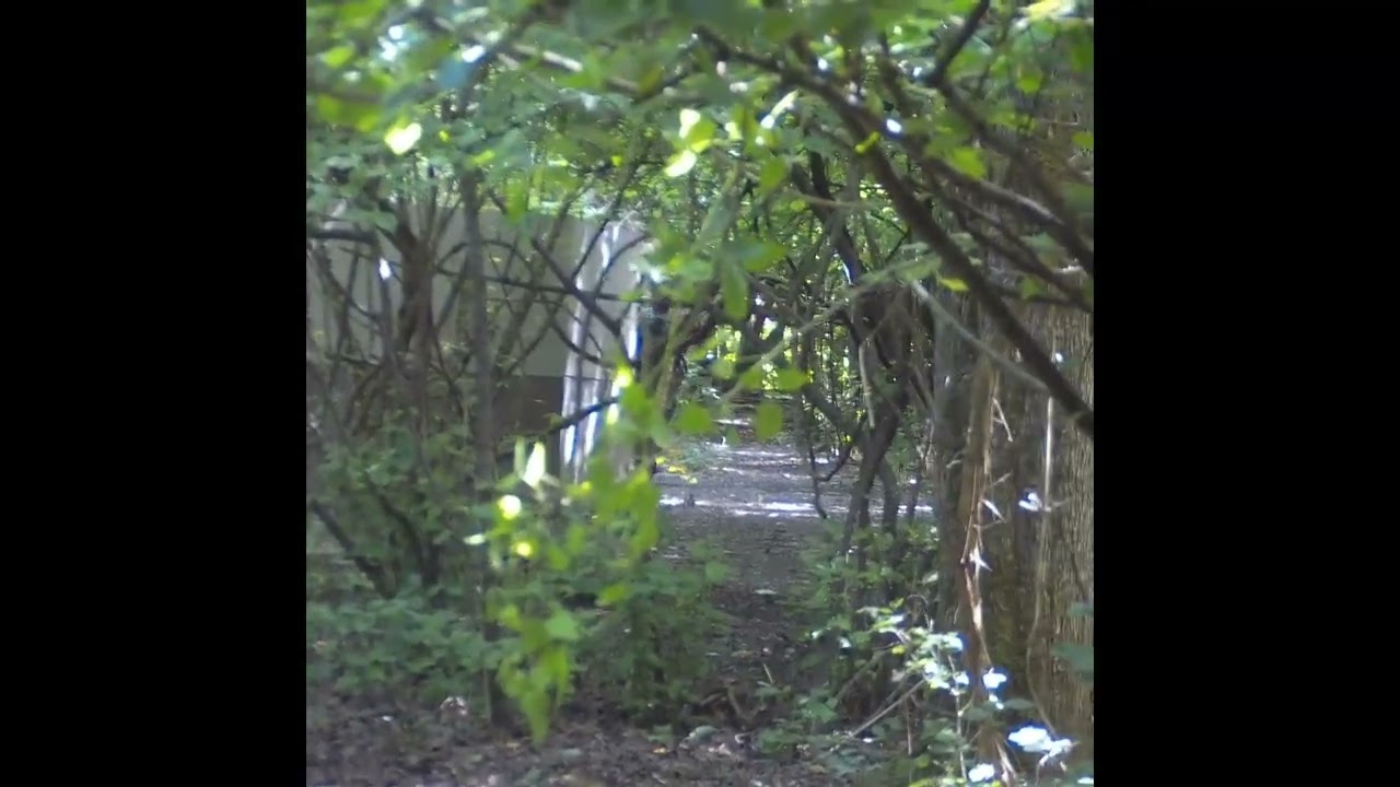 13 & 19 July Airsoft - Balls And Arrows
