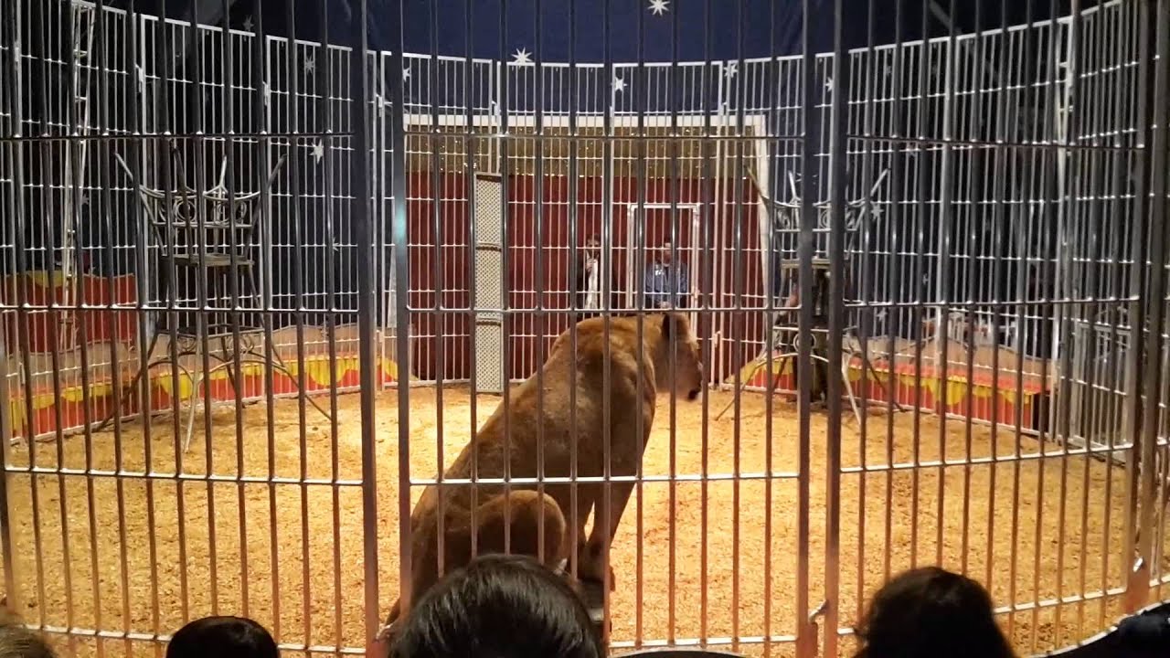cirque Italiano