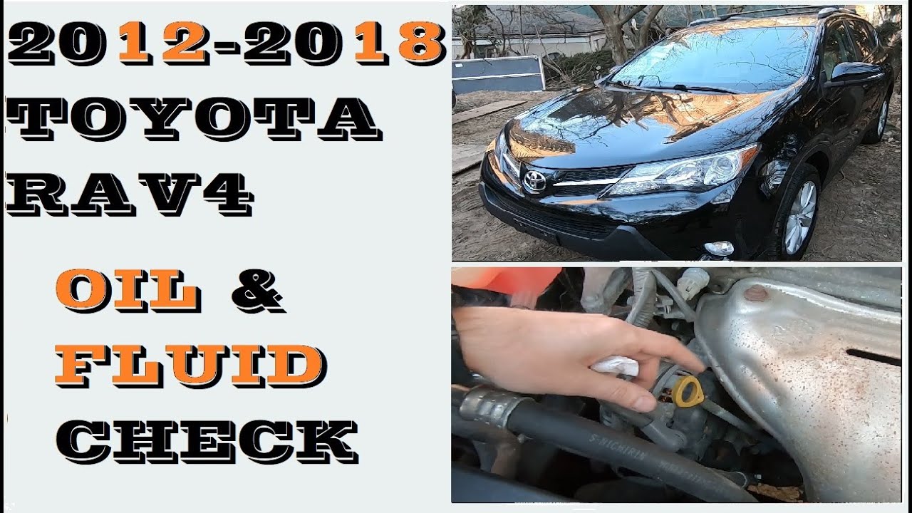 Как проверить масло и жидкости в Toyota RAV4 2012-2018