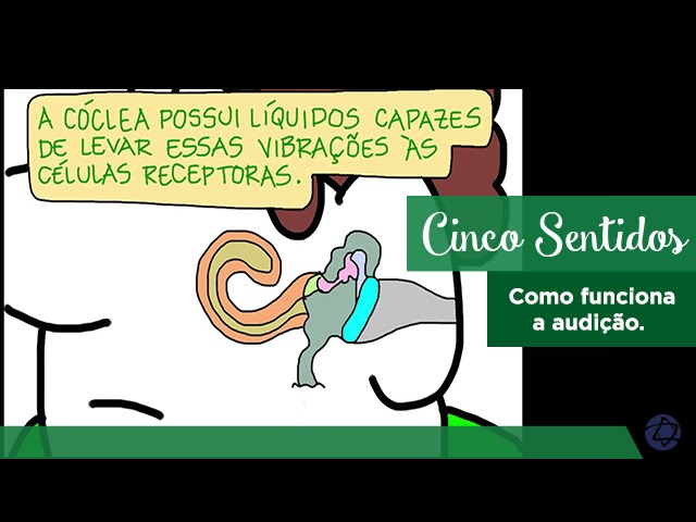 Como funciona a audição.