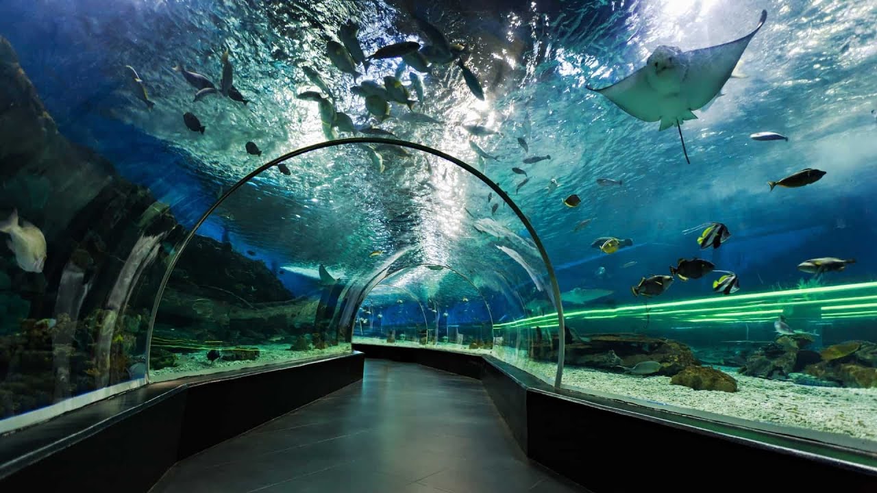 Dubai Mall - Part 2 - once upon a time