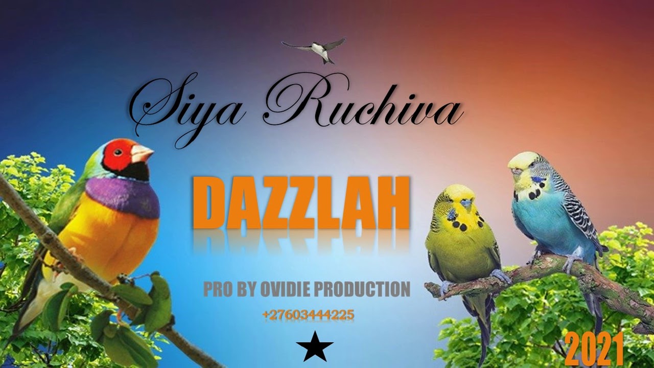 DAZZLAH -Siya Ruchiva 2021