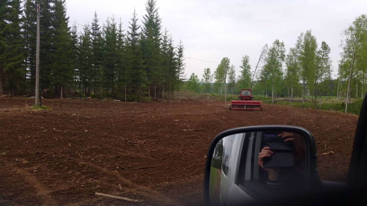 S&aring;dd p&aring; nyodling !